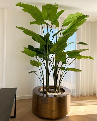 Royal Botania Runder Cuprum-Pflanzkübel Ø 90 cm Royal Botania Runder Cuprum-Pflanzkübel Ø 90 cm