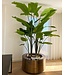 Royal Botania Cuprum rund plantekasse Ø 90 cm