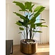 Royal Botania Jardinera redonda Cuprum Ø 90 cm Royal Botania Jardinera redonda Cuprum Ø 90 cm
