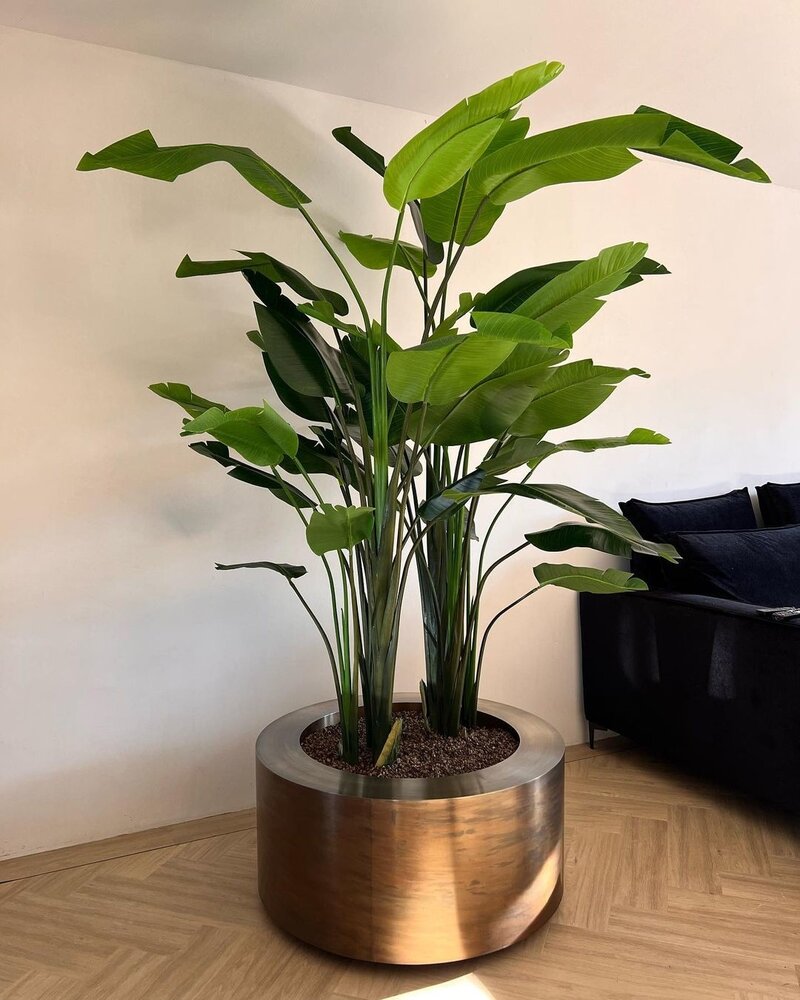 Royal Botania Cuprum round planter Ø 90 cm Royal Botania Cuprum round planter Ø 90 cm