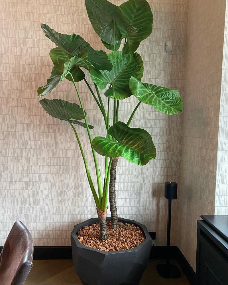 DOMANI BILBAO | Noir naturel DOMANI BILBAO | Noir naturel