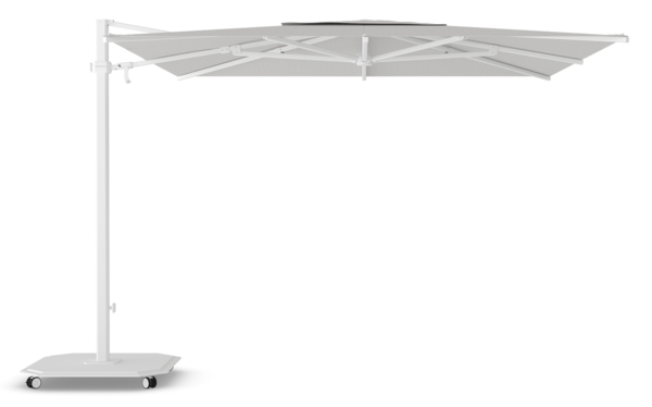 Jardinico Charakter | A01 Weiß & C107 Mondcrest Jardinico Charakter | A01 Weiß & C107 Mondcrest