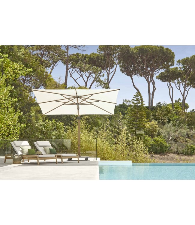 Jardinico Character | A01 White & C305 Umber