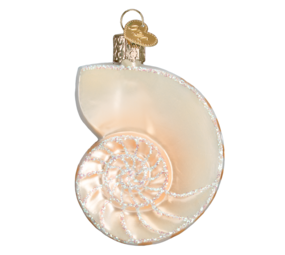 Old World Christmas Coquille Nautilus | décoration de Noël Old World Christmas Coquille Nautilus | décoration de Noël