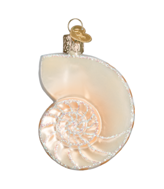 Old World Christmas Coquille Nautilus | décoration de Noël