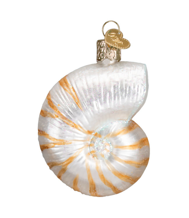 Old World Christmas Conchiglia Nautilus | Ornamento di Natale