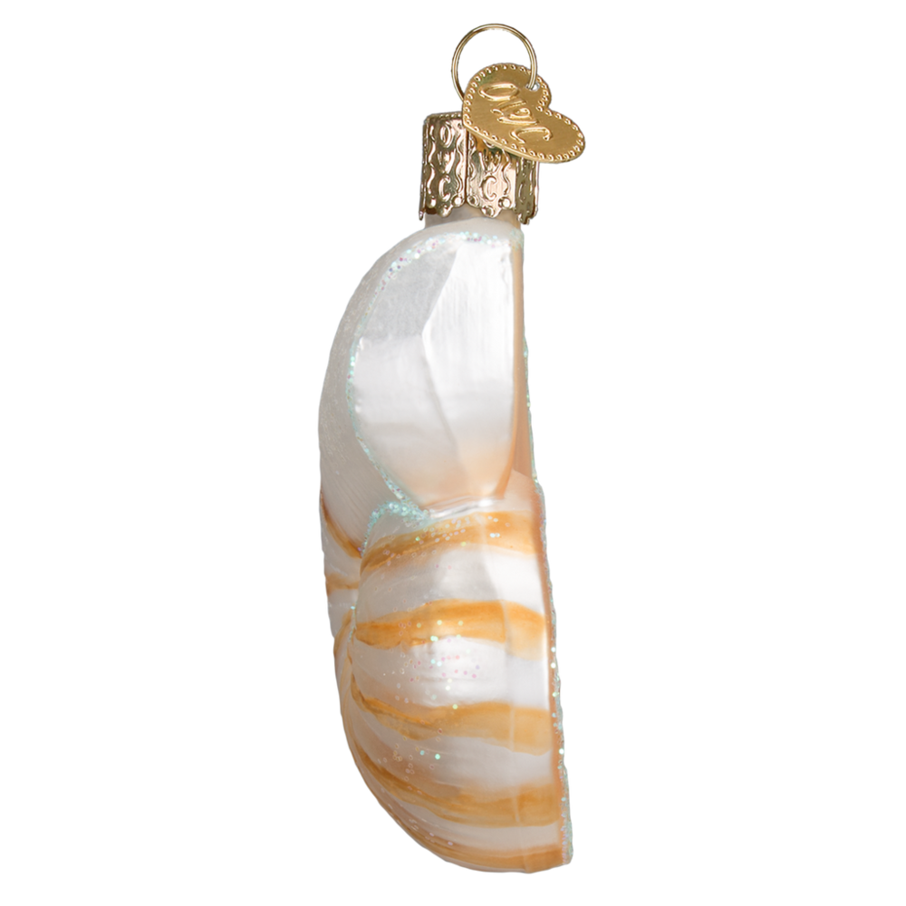 Old World Christmas Coquille Nautilus | décoration de Noël Old World Christmas Coquille Nautilus | décoration de Noël