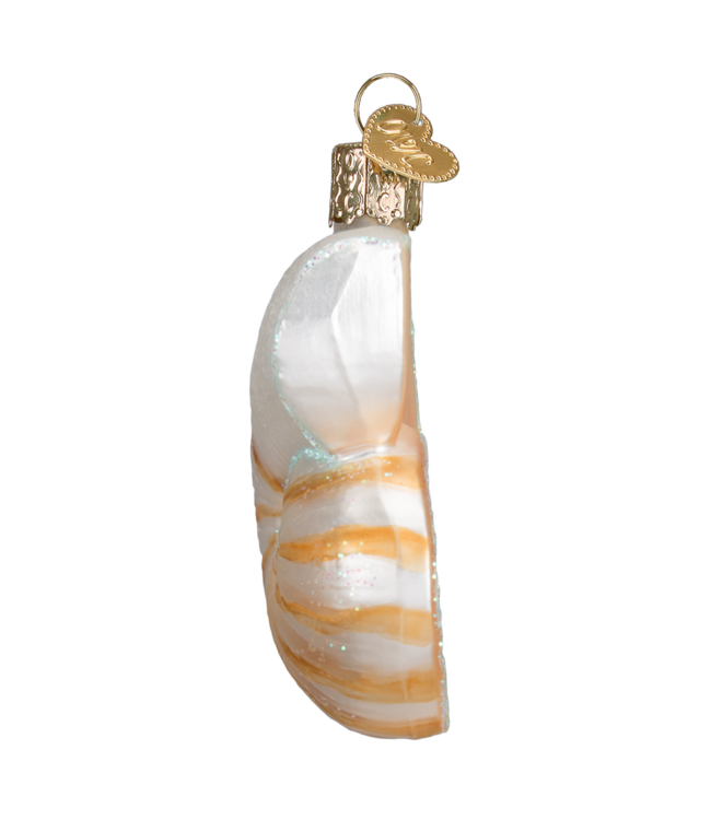 Old World Christmas Nautilus Shell | Christmas ornament
