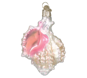 Old World Christmas Mexican Shell | Christmas ornament Old World Christmas Mexican Shell | Christmas ornament