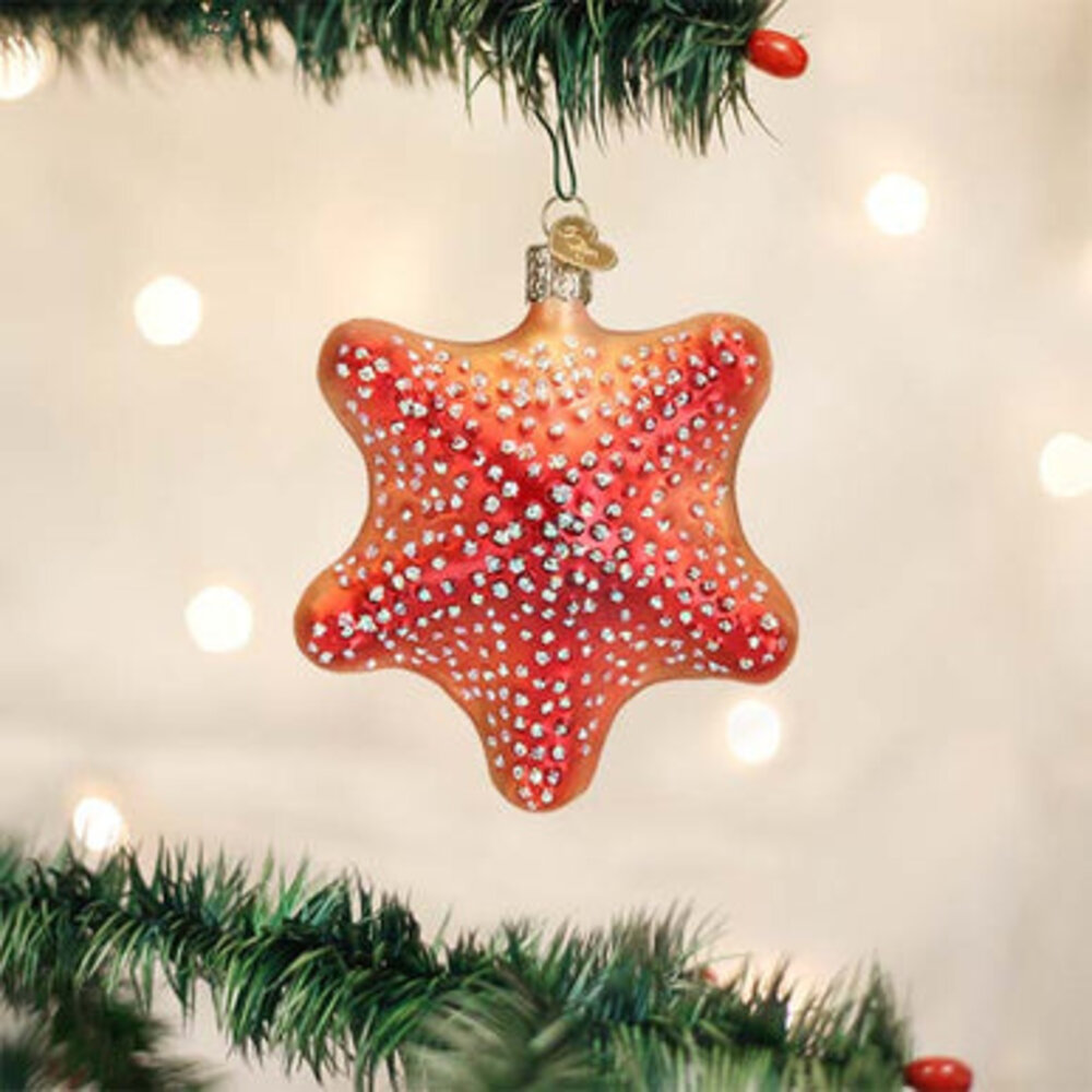 Old World Christmas Red Starfish | Christmas ornament Old World Christmas Red Starfish | Christmas ornament