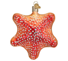 Old World Christmas Étoile de mer rouge | décoration de Noël Old World Christmas Étoile de mer rouge | décoration de Noël