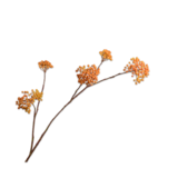 SILK-KA Beerenzweig Orange / Gelb | 120 cm SILK-KA Beerenzweig Orange / Gelb | 120 cm