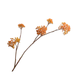 SILK-KA Bessentak Oranje / Geel | 120 cm SILK-KA Bessentak Oranje / Geel | 120 cm