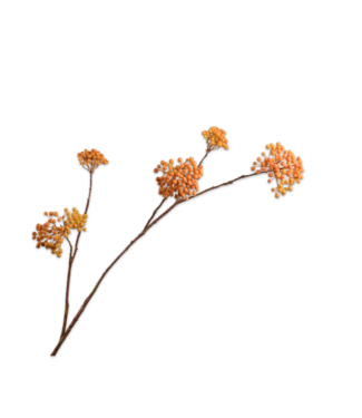 SILK-KA Bærgren Oransje / Gul | 120 cm
