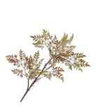 SILK-KA Branche d'Acajou Vert | 99cm SILK-KA Branche d'Acajou Vert | 99cm