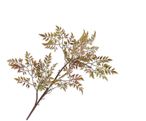 SILK-KA Mahogny Branch Green | 99 cm SILK-KA Mahogny Branch Green | 99 cm
