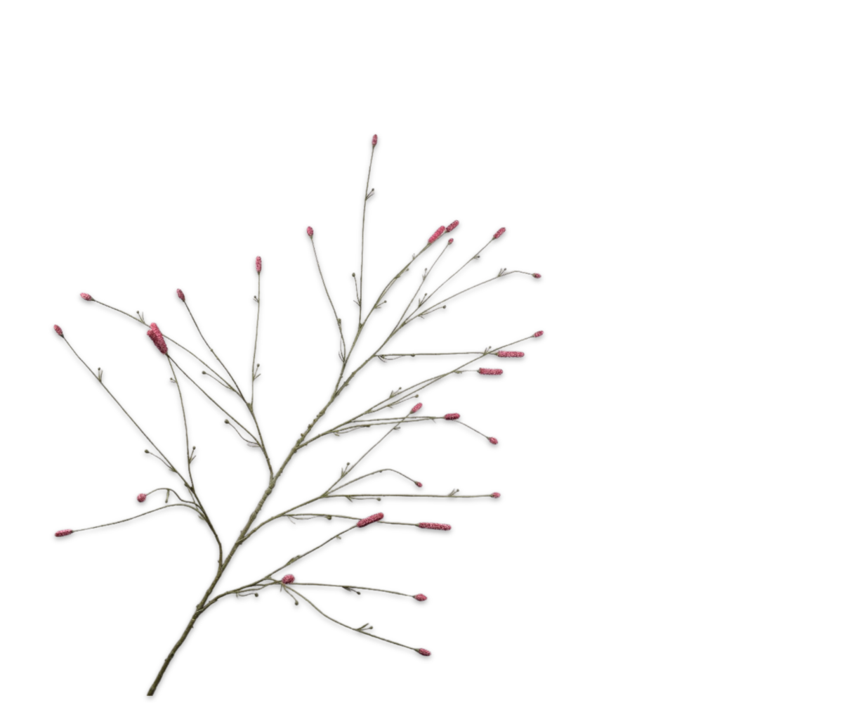 SILK-KA Pimpernel Branch Pink | 146 cm SILK-KA Pimpernel Branch Pink | 146 cm