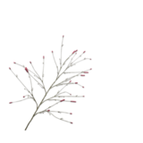 SILK-KA Pimpinela Rama Rosa | 146cm