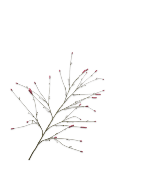 SILK-KA Pimpernel Branch Pink | 146cm