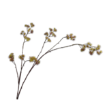 SILK-KA Branche Aralia Vert / Rose | 140cm SILK-KA Branche Aralia Vert / Rose | 140cm