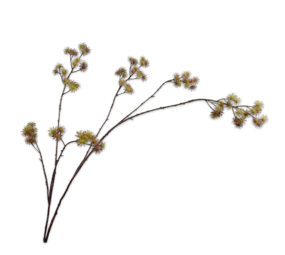 SILK-KA Aralia Branch Grønn / Rosa | 140 cm SILK-KA Aralia Branch Grønn / Rosa | 140 cm