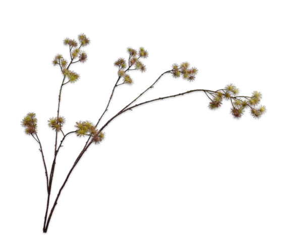 SILK-KA Aralia Tak Groen / Roze | 140 cm SILK-KA Aralia Tak Groen / Roze | 140 cm