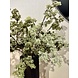 Silk-ka Kunstbloemen Boeket | Natural Moss Silk-ka Kunstbloemen Boeket | Natural Moss