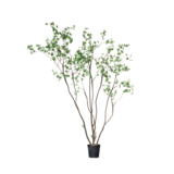 SILK-KA Bucida Groen | 274 cm SILK-KA Bucida Groen | 274 cm