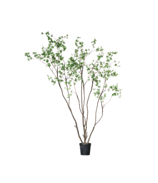 SILK-KA Bucida Groen | 274 cm