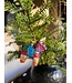 Old World Christmas Piñata | Decoración navideña