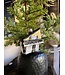 Old World Christmas Piano de cola bebé | Decoración navideña
