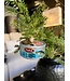 Old World Christmas Tonno in scatola | Ornamento di Natale
