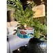 Old World Christmas Tonijn in Blik | Kerst ornament Old World Christmas Tonijn in Blik | Kerst ornament