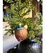 Old World Christmas Bevanda tropicale al cocco | Ornamento di Natale