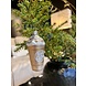 Old World Christmas Eiskaffee | Weihnachtsschmuck Old World Christmas Eiskaffee | Weihnachtsschmuck