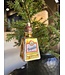 Old World Christmas Tequila-Flasche | Weihnachtsschmuck