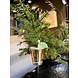Old World Christmas Tequila Shot | Weihnachtsschmuck Old World Christmas Tequila Shot | Weihnachtsschmuck