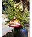Old World Christmas Pila de panqueques | Decoración navideña