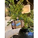 Old World Christmas Koffer | Kerst ornament Old World Christmas Koffer | Kerst ornament