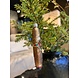 Old World Christmas Sigaar | Kerst ornament Old World Christmas Sigaar | Kerst ornament