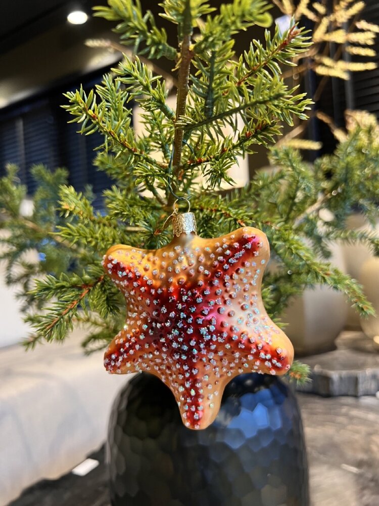 Old World Christmas Red Starfish | Christmas ornament Old World Christmas Red Starfish | Christmas ornament