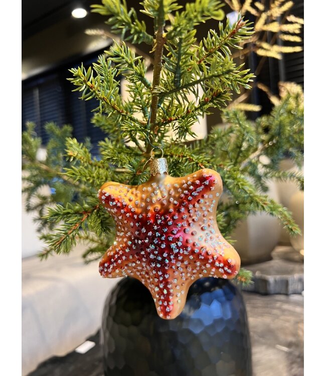 Old World Christmas Estrella de mar roja | Decoración navideña