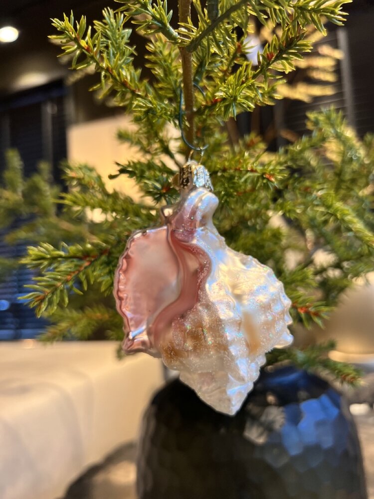 Old World Christmas Mexikanische Muschel | Weihnachtsschmuck Old World Christmas Mexikanische Muschel | Weihnachtsschmuck