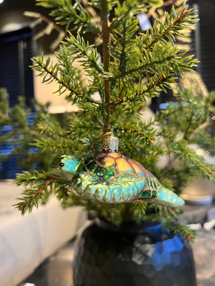 Old World Christmas Green Sea Turtle | Christmas ornament Old World Christmas Green Sea Turtle | Christmas ornament
