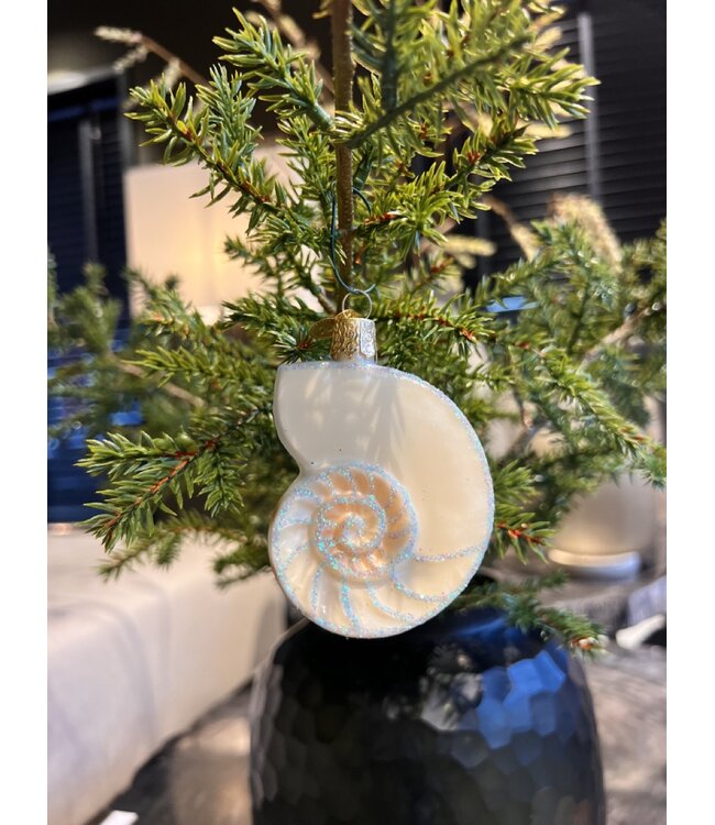 Old World Christmas Concha de Nautilo | Decoración navideña