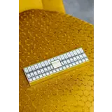 Baobab Collection My First Baobab | Roma Lucifers Baobab Collection My First Baobab | Roma Lucifers