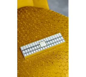 Baobab Collection Mein erster Affenbrotbaum | Roma Luzifer Baobab Collection Mein erster Affenbrotbaum | Roma Luzifer