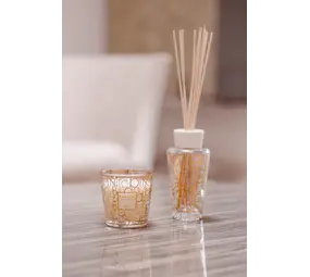 Baobab Collection Mon premier baobab | Coffret cadeau Aurum Baobab Collection Mon premier baobab | Coffret cadeau Aurum