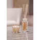 Baobab Collection Il mio primo Baobab | Confezione regalo Aurum Baobab Collection Il mio primo Baobab | Confezione regalo Aurum