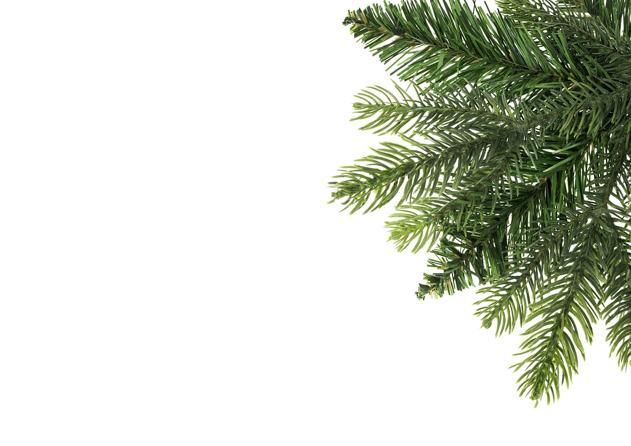 NU PUUR & GROEN Albero di Natale artificiale con illuminazione | Miscela Premium 220 cm NU PUUR & GROEN Albero di Natale artificiale con illuminazione | Miscela Premium 220 cm